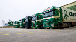 20250301-Cuppen-00113